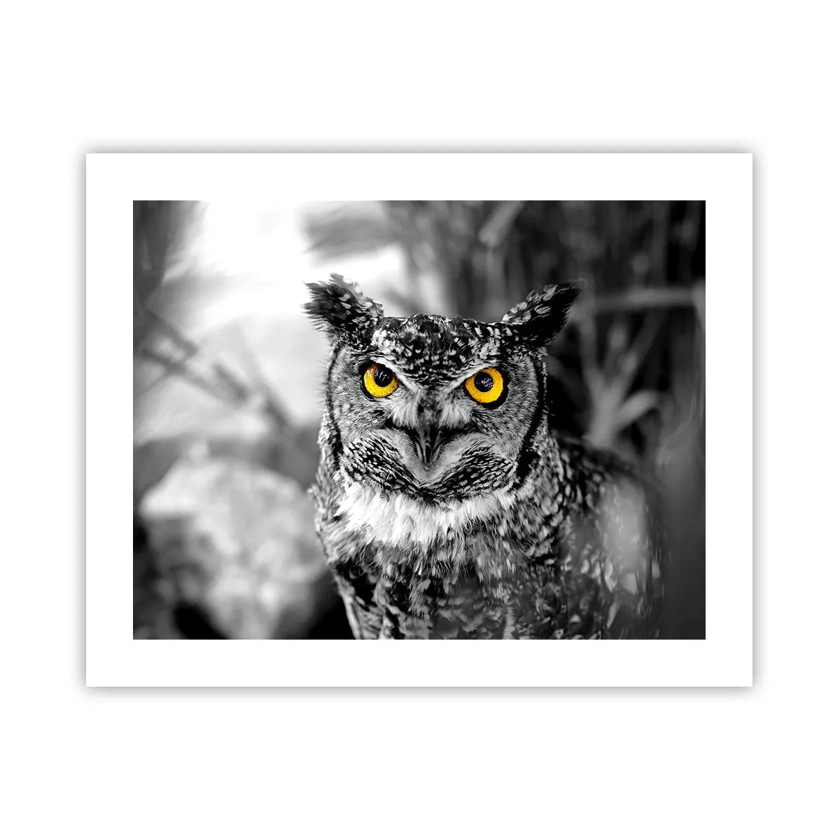 Poster - Nimic nu poate fi ascuns - 50x40 cm