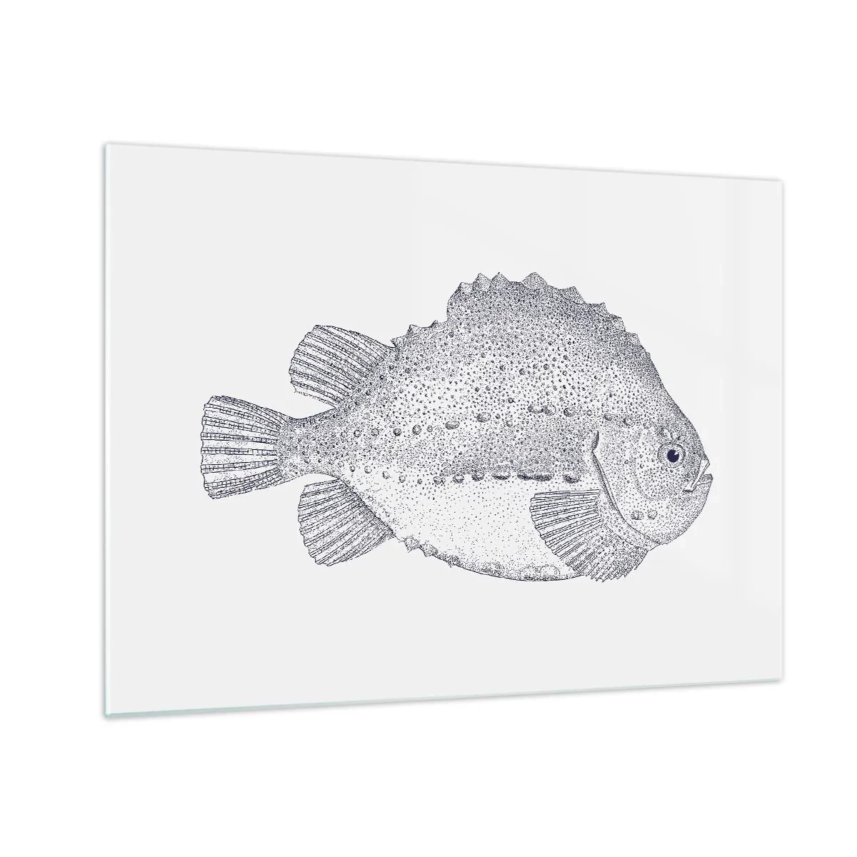 Tablou pe sticlă - Gravură detaliată a unui pește pe fundal alb în stil natural - 70x50cm - Pentru albumul naturalistului - Decorațiune modernă pentru perete pentru living și dormitor ARTTOR