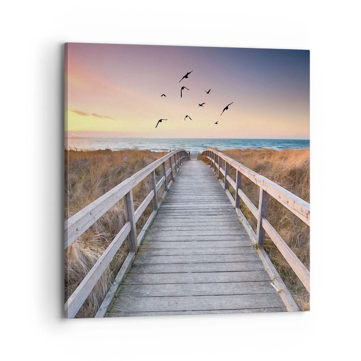 Tablou pe pânză - Spațiul pentru a zbura - 70x70 cm