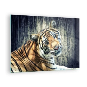 Tablou pe sticlă - Un tigru într-o poză naturală pe un perete brut - 70x50cm - Portret în fluxuri de lumină - Decorațiune modernă pentru perete pentru living și dormitor ARTTOR
