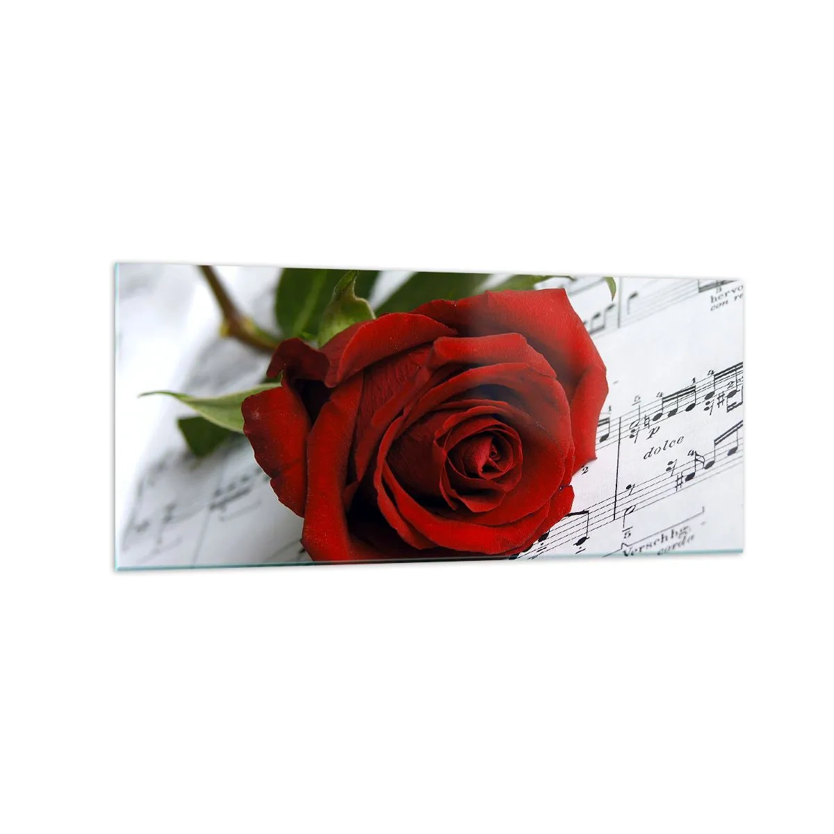 Tablou pe sticlă - Muzica sentimentelor în stacojiu - 120x50 cm