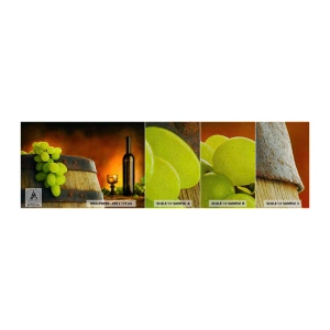 Mostră tapet Premium Sand - Natură moartă cu o sticlă de vin și un ciorchine de struguri - Strugurii, Vin, Butoiul de vin - 100x30 cm