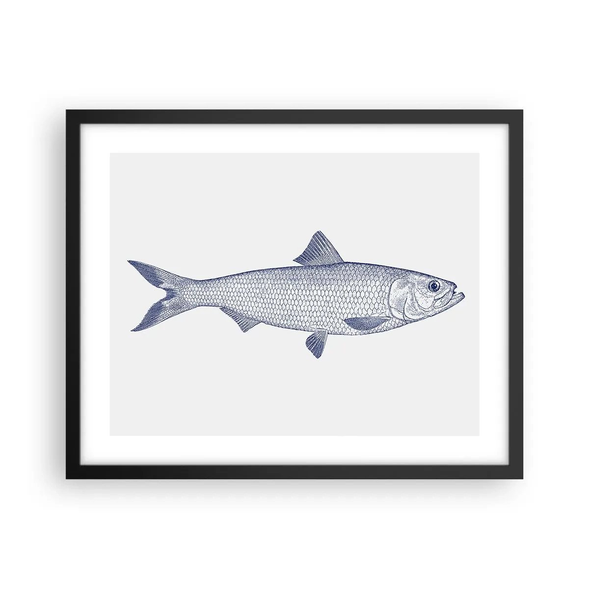 Poster în ramă neagră - Salutări din mările nordice - 50x40 cm