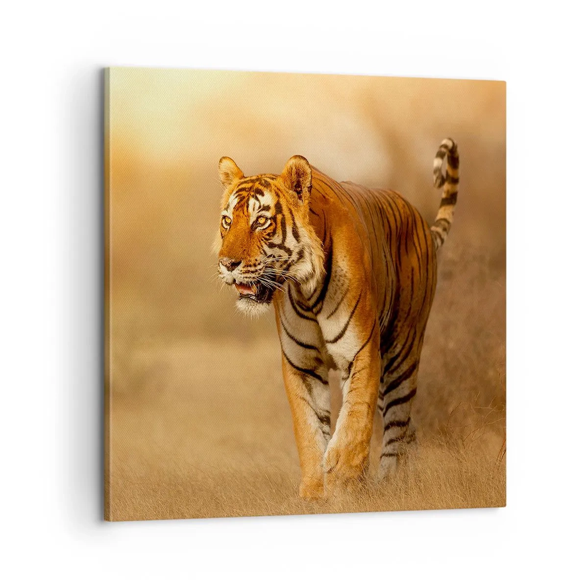 Tablou pe pânză - Înainte de atac - 60x60 cm