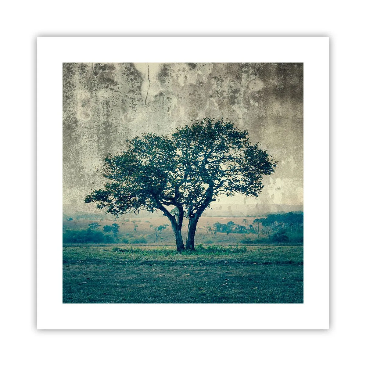 Poster - Un măr pe o pajiște albastră? - 40x40 cm