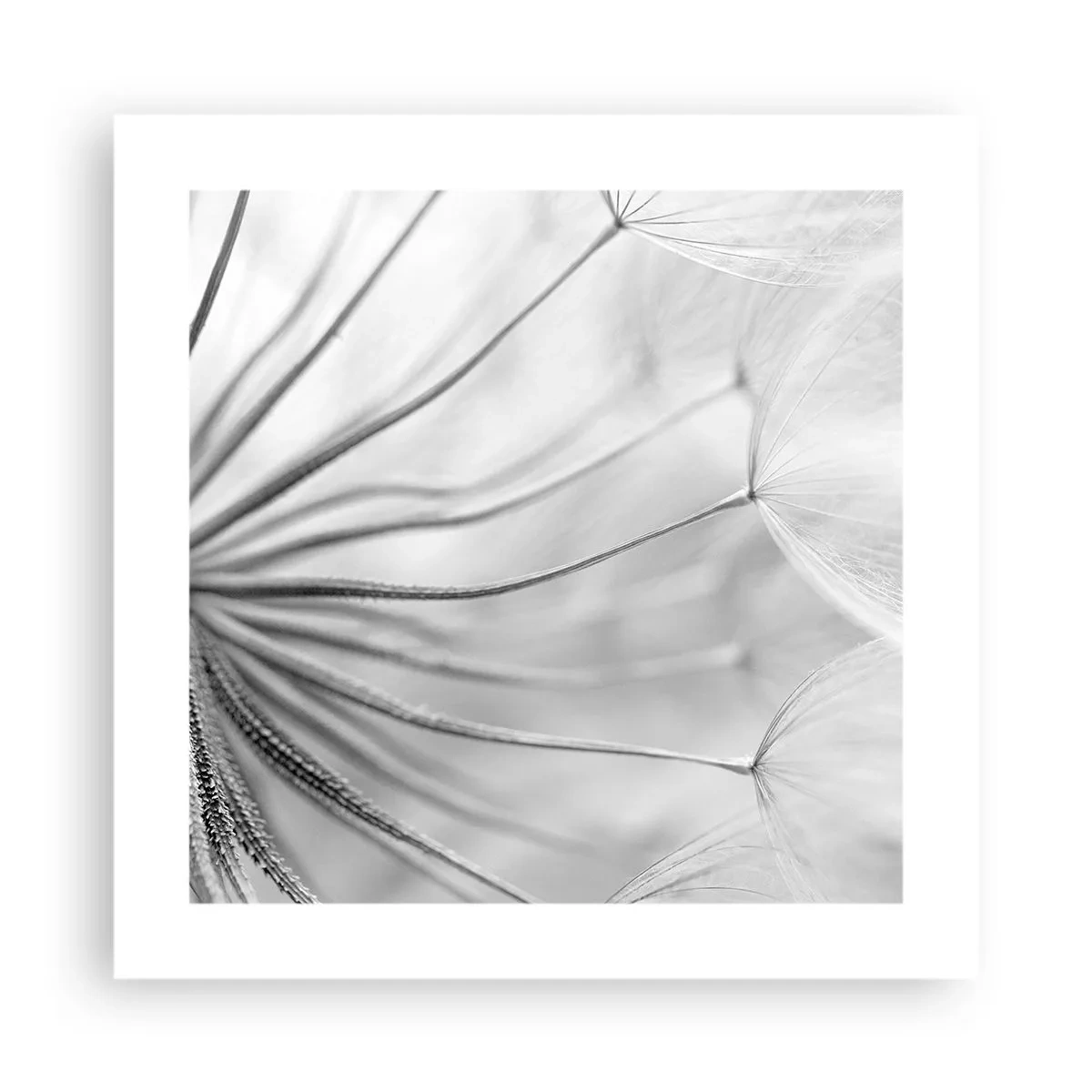 Poster - Suflarea zmeilor - 40x40 cm