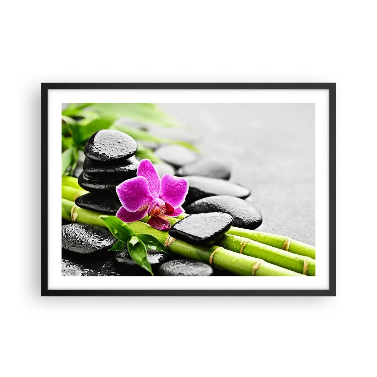 Poster în ramă neagră - Într-un echilibru pașnic - 70x50 cm