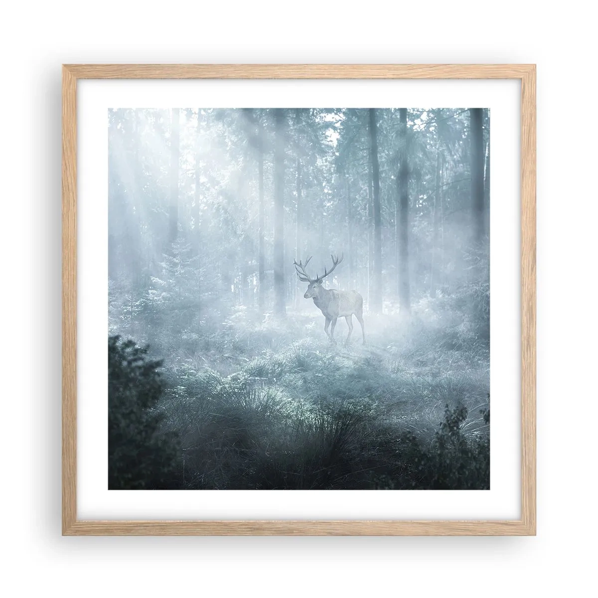 Poster în ramă de stejar deschis - Plimbarea de dimineață prin regat - 50x50 cm