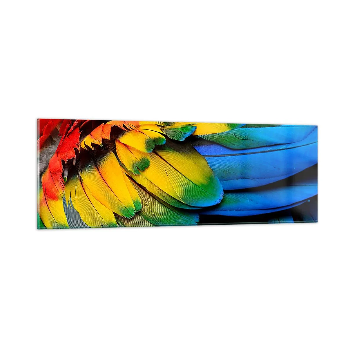 Tablou pe sticlă - Pasăre de paradis - 90x30 cm