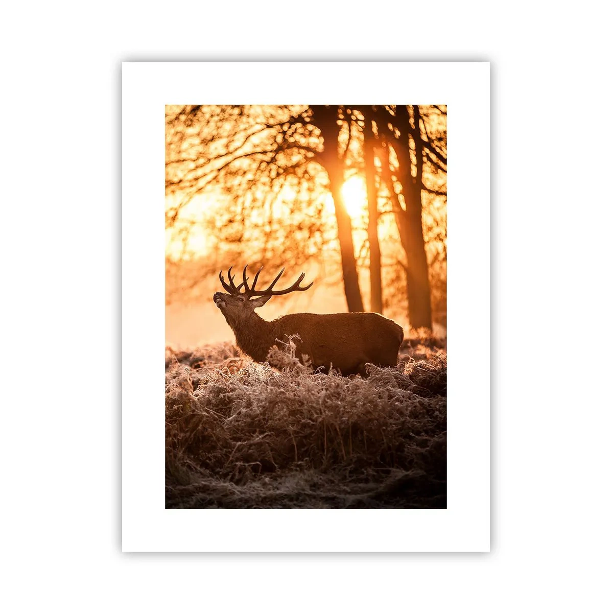 Poster - Visul unui vânător - 30x40 cm