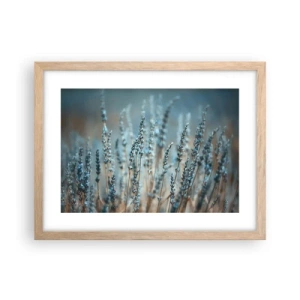 Poster în ramă de stejar deschis - Câmpul parfumat - 40x30 cm