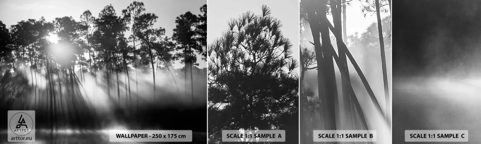 Mostră de Tapet Standard Eco - Soare de neoprit - Peisaj, pădure, Natură - 100x30 cm