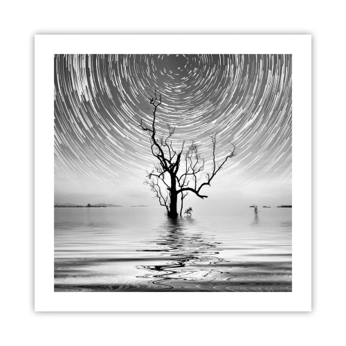 Poster - O simfonie a naturii - 50x50 cm