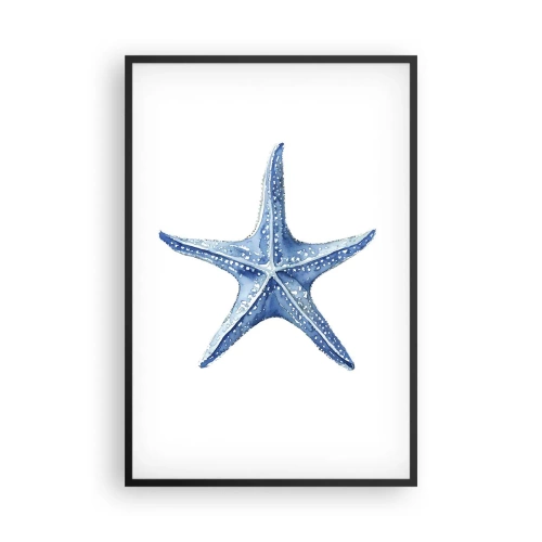Poster în ramă neagră - Steaua mării - 61x91 cm