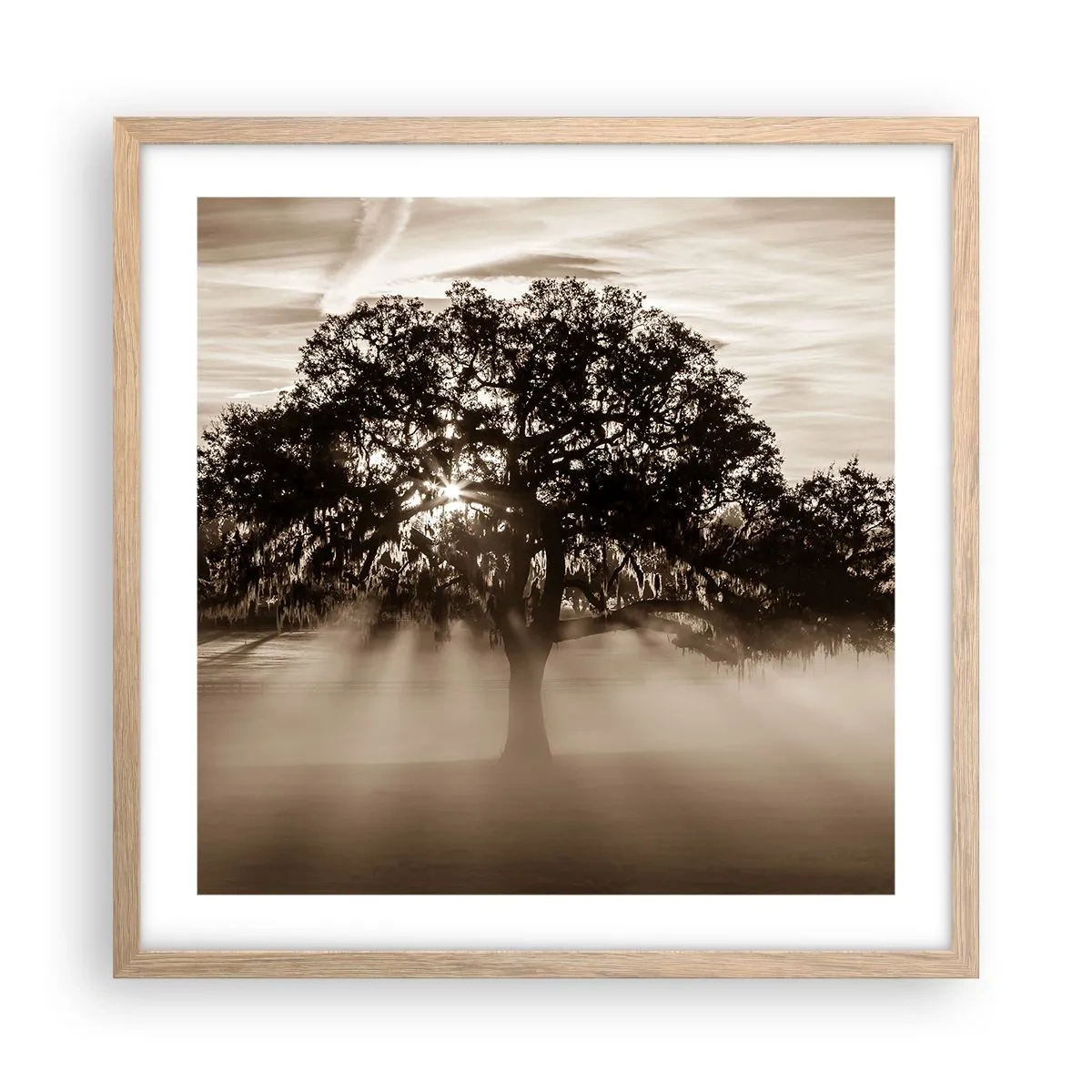 Poster în ramă de stejar deschis - Un copac de vești bune - 50x50 cm