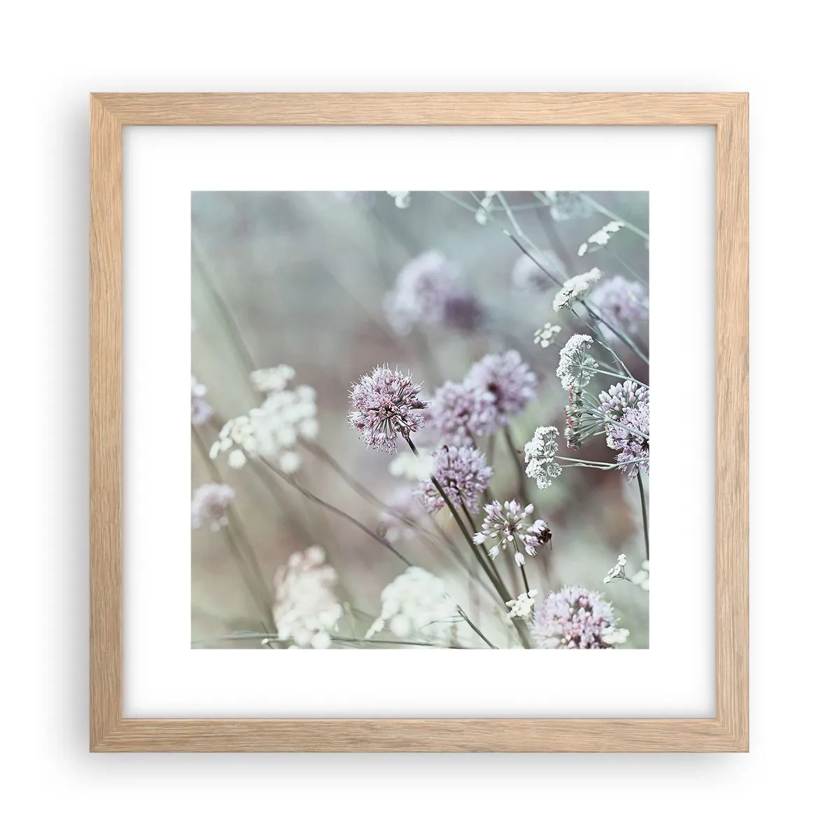 Poster în ramă de stejar deschis - Ierburi dulci filigranate - 30x30 cm