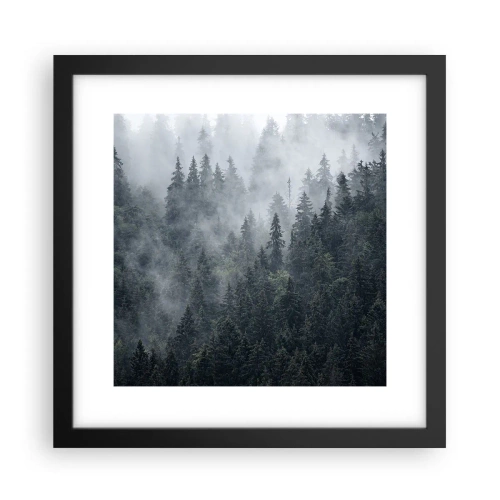 Poster în ramă neagră - Zori de pădure - 30x30 cm