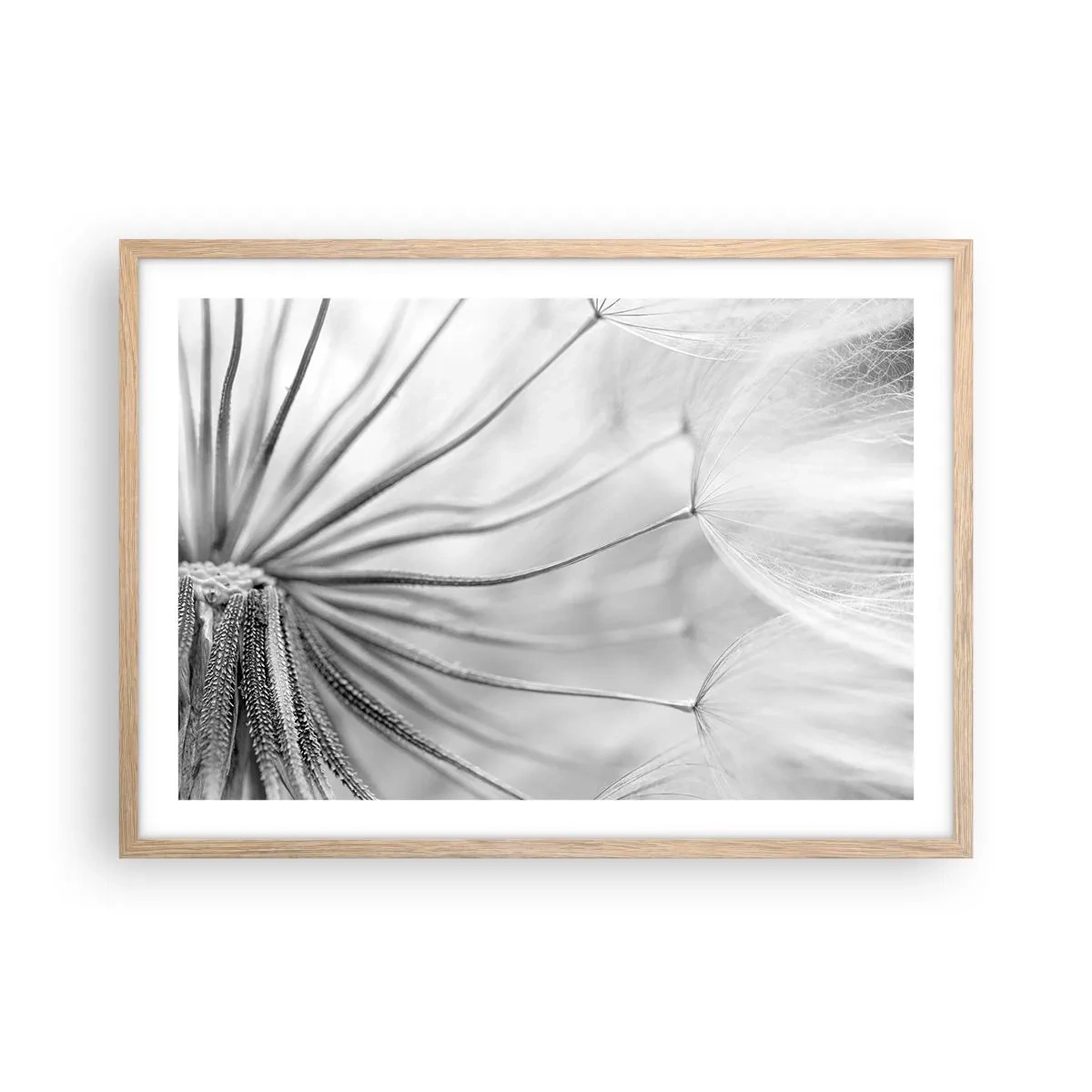 Poster în ramă de stejar deschis - Suflarea zmeilor - 70x50 cm