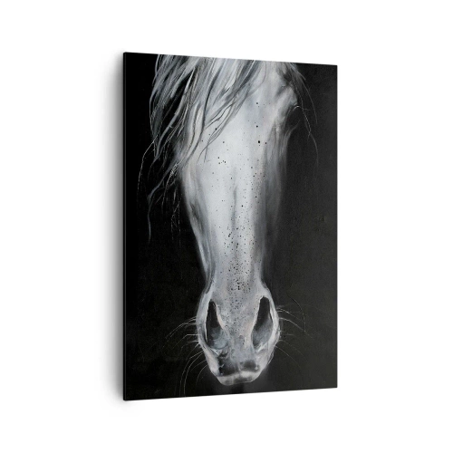 Tablou pe pânză - O privire seducătoare - 70x100 cm