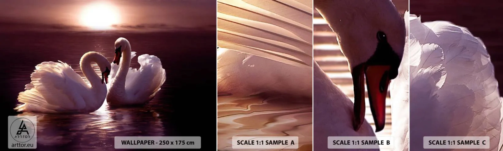 Mostră de Tapet Standard Eco - Până când moartea ne va despărți - Animale, Peisaj, Lebedele - 100x30 cm