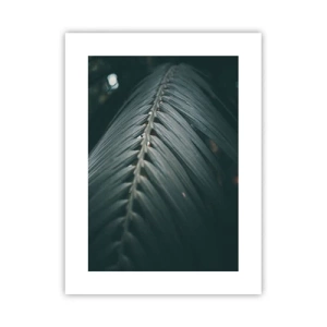 Poster - Precizia naturii - 30x40 cm
