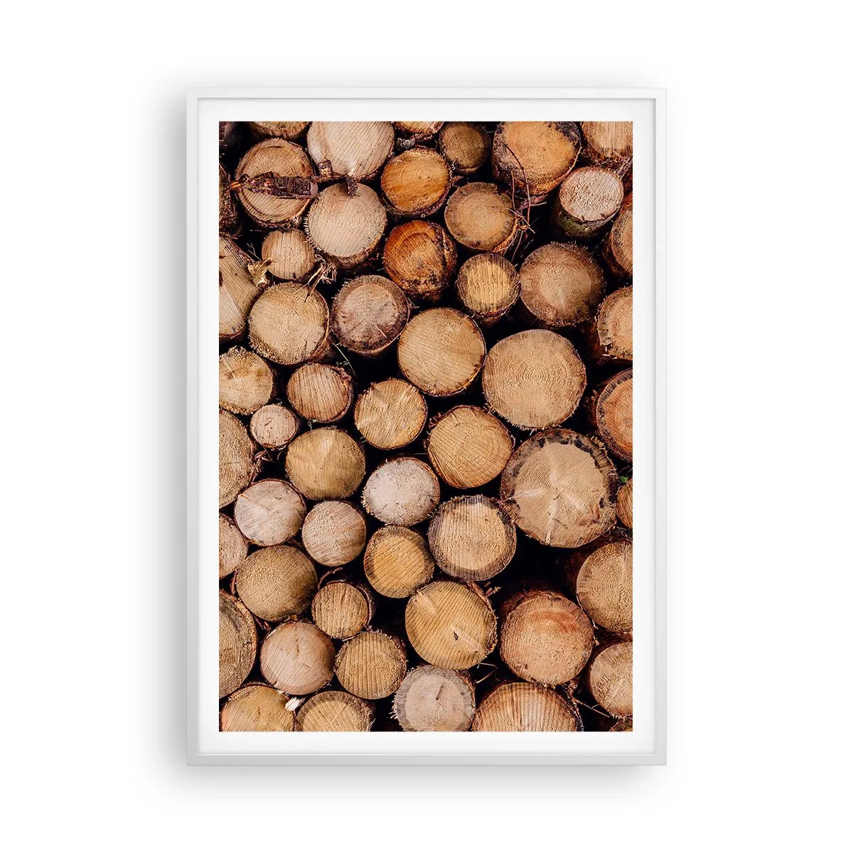 Poster în ramă albă - Un nou început - 70x100 cm