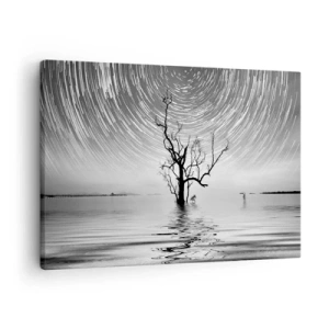 Tablou pe pânză Canvas - Un copac în apă sub un cer nocturn cu stele în mișcare - 70x50cm - O simfonie a naturii - Decorațiune modernă pentru perete pentru living și dormitor ARTTOR