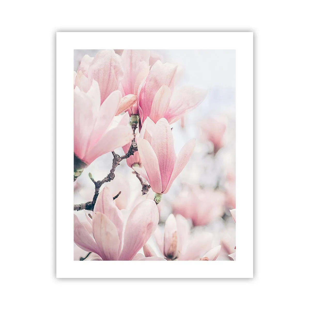 Poster - Idealul de subtilitate - 40x50 cm