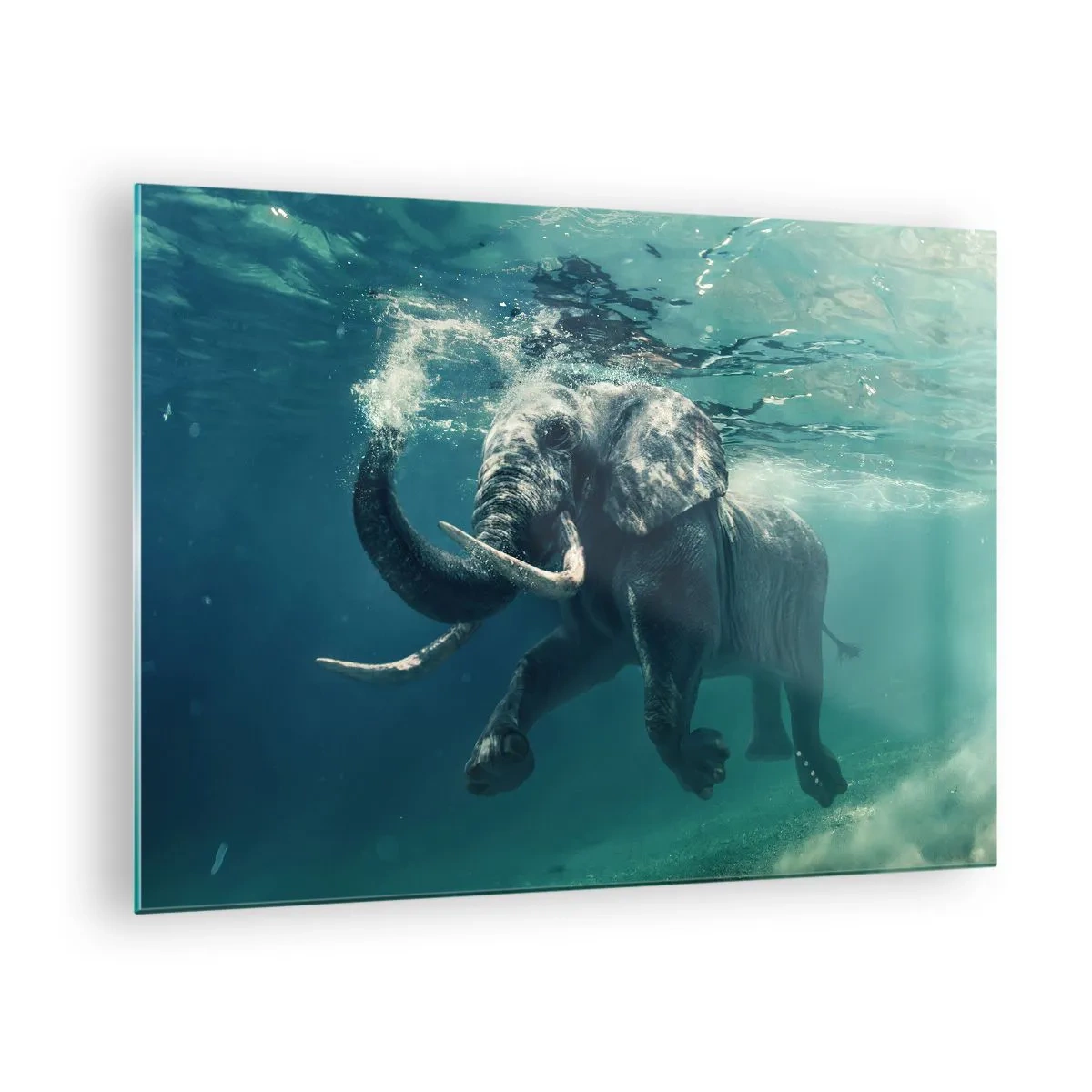Tablou pe sticlă - Un elefant înotând sub apă în oceanul albastru - 70x50cm - Tuturor le place să înoate - Decorațiune modernă pentru perete pentru living și dormitor ARTTOR