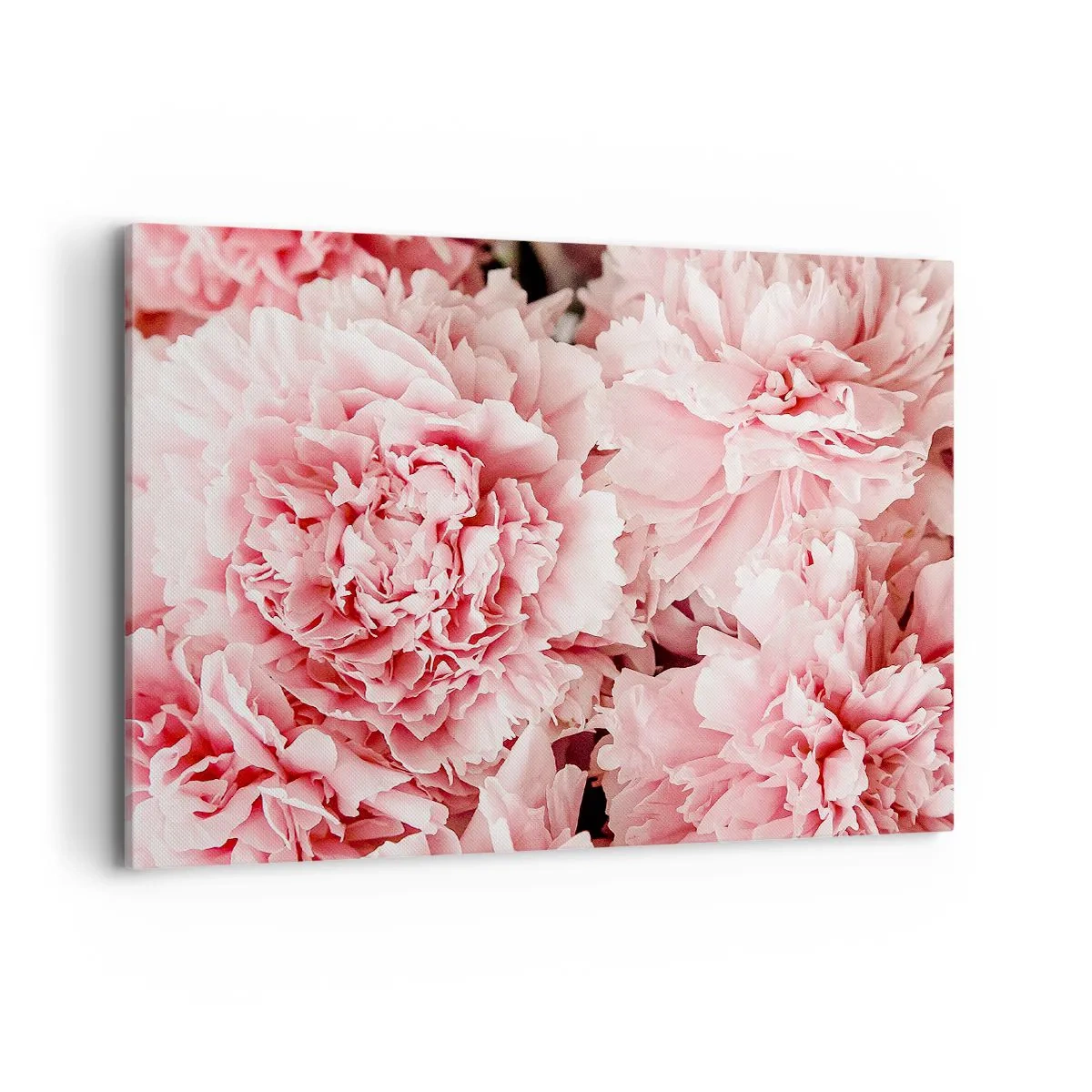 Tablou pe pânză - Visul roz - 100x70 cm