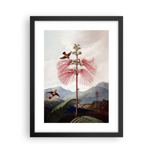 Poster în ramă neagră - Într-un paradis tropical - 30x40 cm