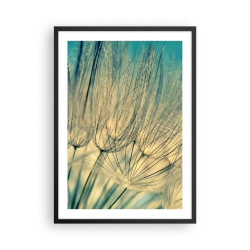 Poster în ramă neagră - Fotografie macro a păpădiilor delicate în lumina soarelui apus - 50x70cm - Așteptând vântul - Decorațiune modernă pentru perete pentru living și dormitor ARTTOR