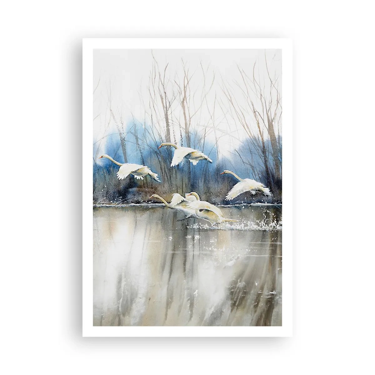 Poster - Dansând cu lebedele sălbatice - 70x100 cm