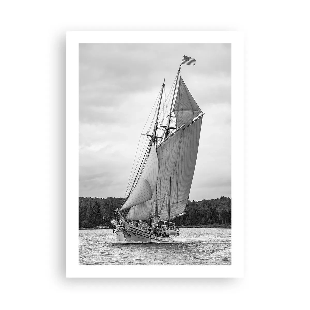 Poster - Frații vântului - 50x70 cm