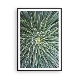 Poster în ramă neagră - Nașterea unei stele - 70x100 cm