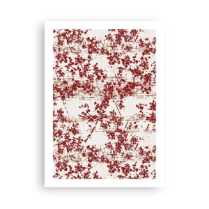 Poster - Ca un percal vechi - 50x70 cm