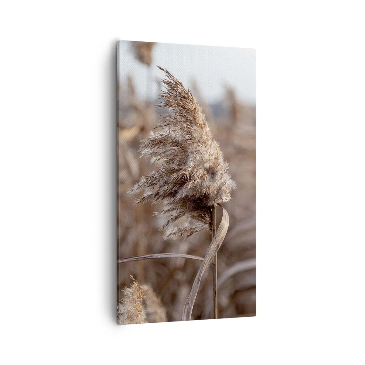 Tablou pe pânză - E timpul să zbori cu vântul - 55x100 cm