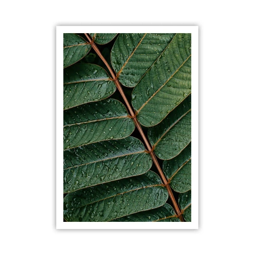 Poster - Într-un ritm verde - 70x100 cm