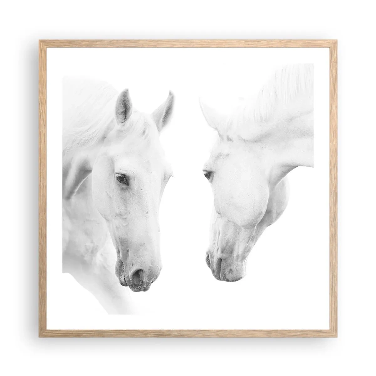 Poster în ramă de stejar deschis - Este aceasta o prietenie...? - 60x60 cm