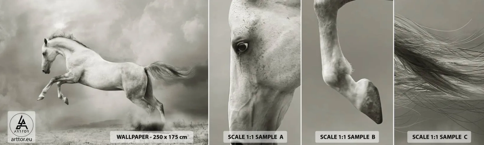 Mostră de Tapet Standard Eco - Între veghe și visare - Animale, Cal, Natură - 100x30 cm