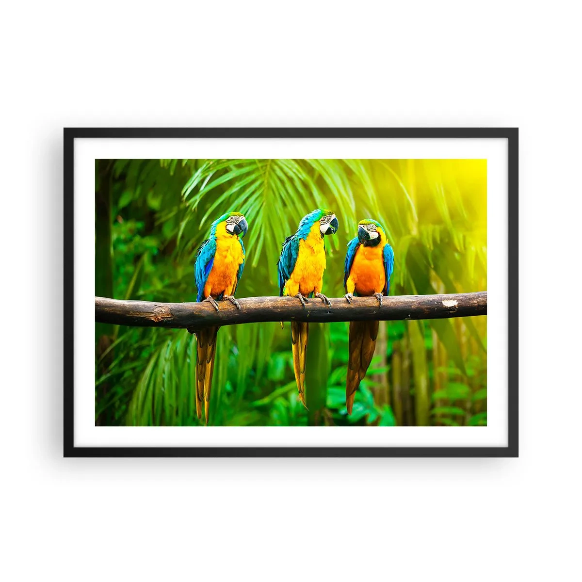 Poster în ramă neagră - Și ai auzit că ea...? - 70x50 cm