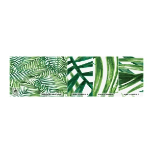 Mostră de Tapet Standard Eco - Sub bolta verde - Abstracția, Frunza de palmier, Palmier de nuca de cocos - 100x30 cm