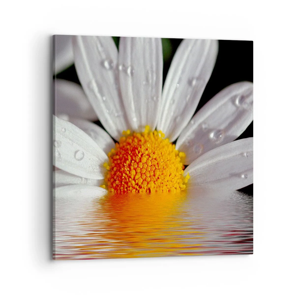 Tablou pe pânză - Răsăritul soarelui al Margaretei - 70x70 cm