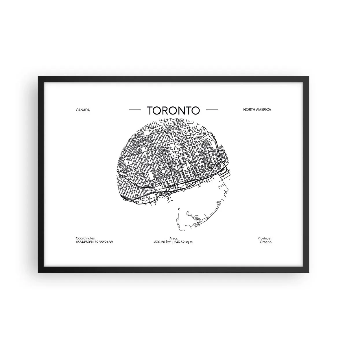 Poster în ramă neagră - Anatomia Toronto - 70x50 cm