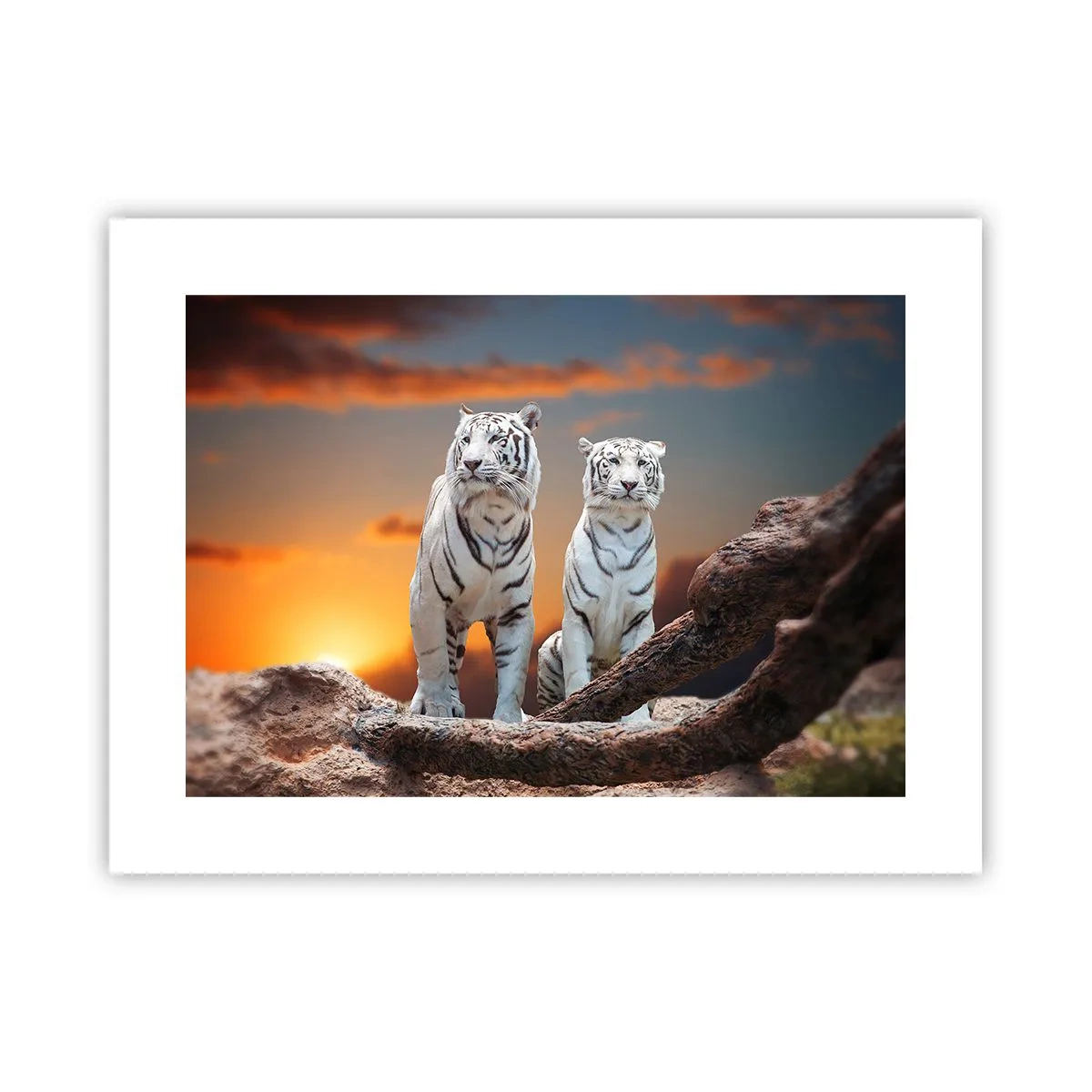 Poster - La fel ca în Narnia - 40x30 cm