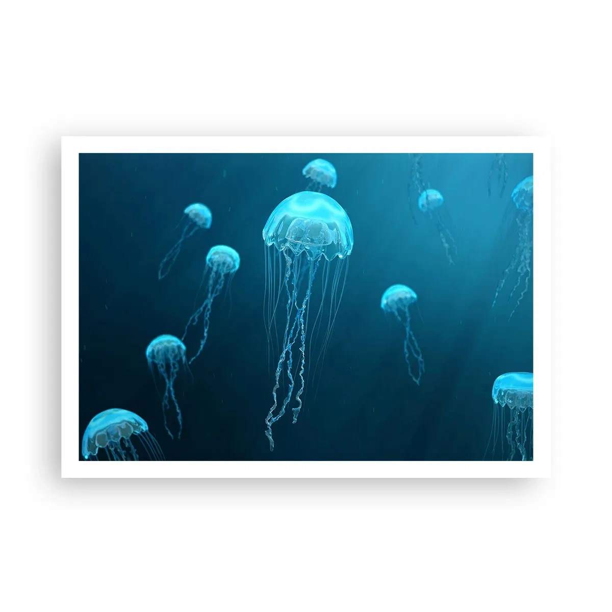 Poster - Dansul oceanic - 100x70 cm