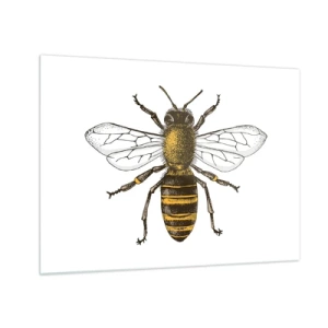 Tablou pe sticlă - Ilustrație detaliată a unei albine pe fundal alb - 70x50cm - Frumoasă și bună - Decorațiune modernă pentru perete pentru living și dormitor ARTTOR