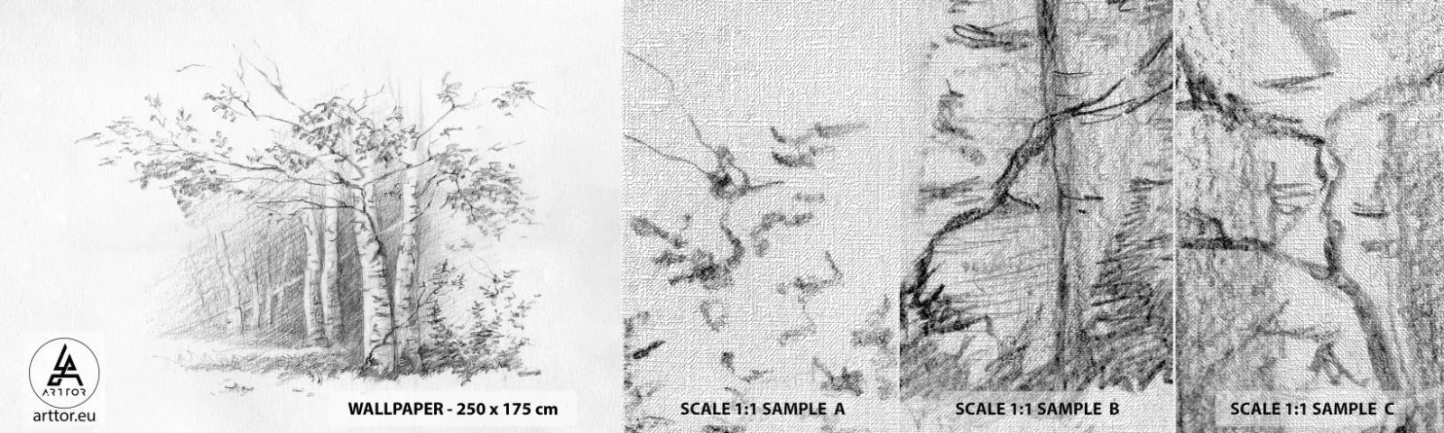 Mostră tapet Premium Canvas - Lumina pădurii de mesteceni - pădure, mesteacăn, Copaci - 100x30 cm
