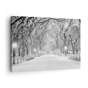 Tablou pe pânză Canvas - O alee de iarnă cu copaci acoperiți de zăpadă în monocrom - 70x50cm - Cele patru anotimpuri – iarna - Decorațiune modernă pentru perete pentru living și dormitor ARTTOR