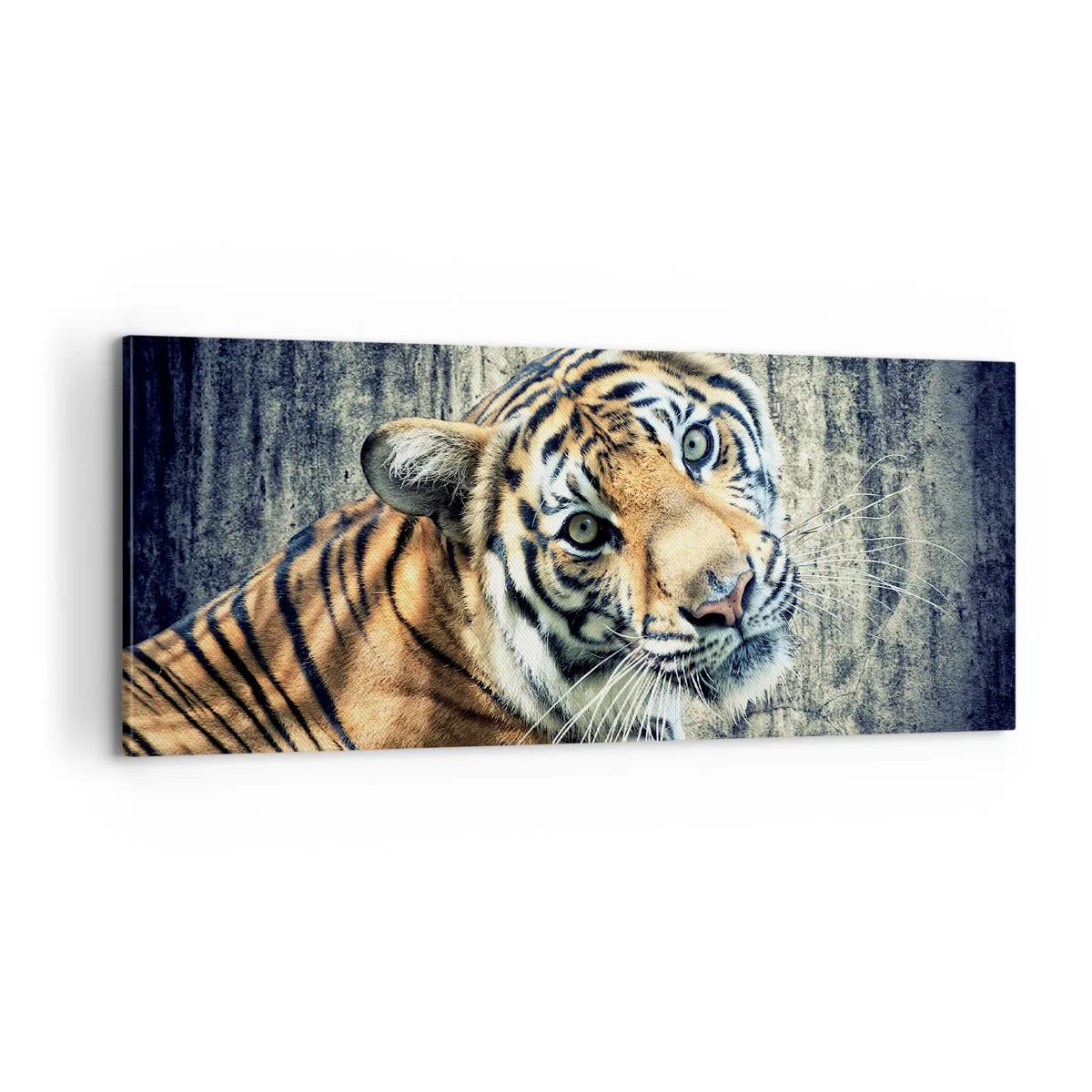 Tablou pe pânză - Portret în fluxuri de lumină - 100x40 cm